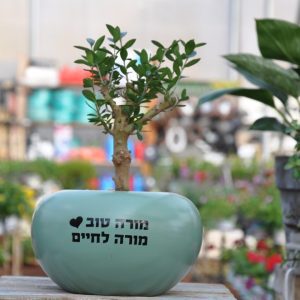 מתנה נחל מתנה מרגשת ומושקעת למורה שמגיע לה\לו
