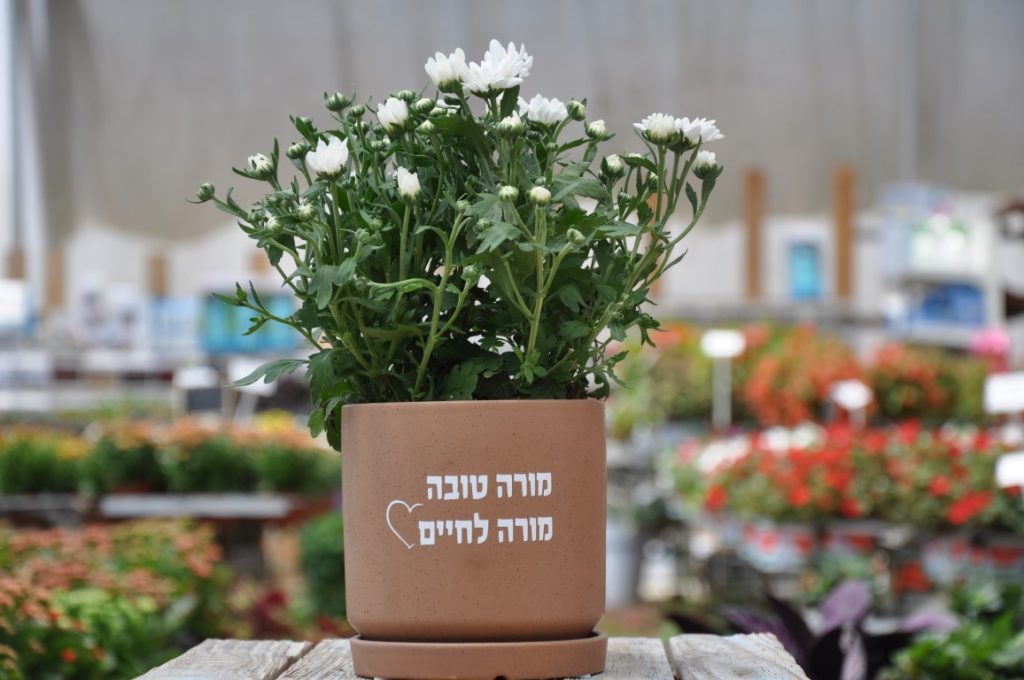 כלי קרמיקה עם תחתית וחרצית ממותג "מורה טובה מורה לחיים"