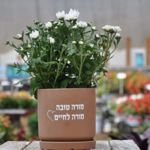 כלי קרמיקה עם תחתית וחרצית ממותג "מורה טובה מורה לחיים"