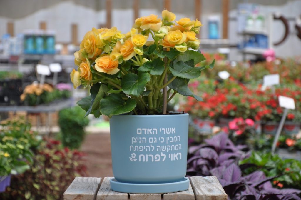 מתנה מגל מתנה ממותגת “אשרי האדם המבין כי גם הניצן המתקשה להיפתח ראוי לפרוח”