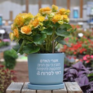 מתנה מגל מתנה ממותגת “אשרי האדם המבין כי גם הניצן המתקשה להיפתח ראוי לפרוח”