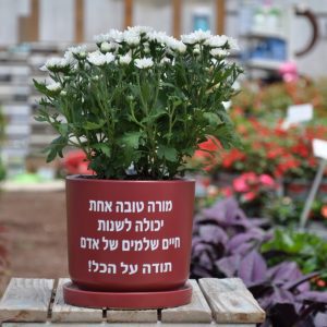 מתנה טנא מורה טובה אחת יכולה לשנות חיים שלמים של אדם תודה על הכל!