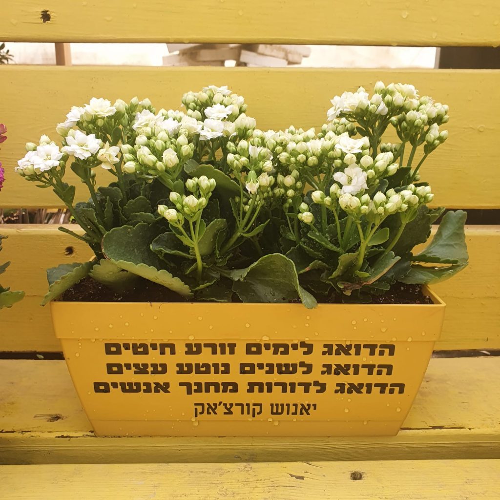 מתנה רז אדנית מושלמת ומפנקת כמתנה ליום המורה!
