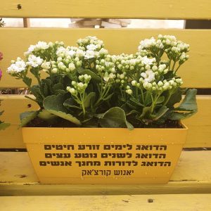 מתנה רז אדנית מושלמת ומפנקת כמתנה ליום המורה!