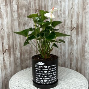 מתנה ‘ברכת הבית’