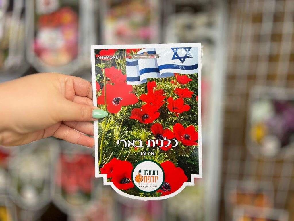 צמחי גינה ומרפסת, עונתי של חורף, פקעות
