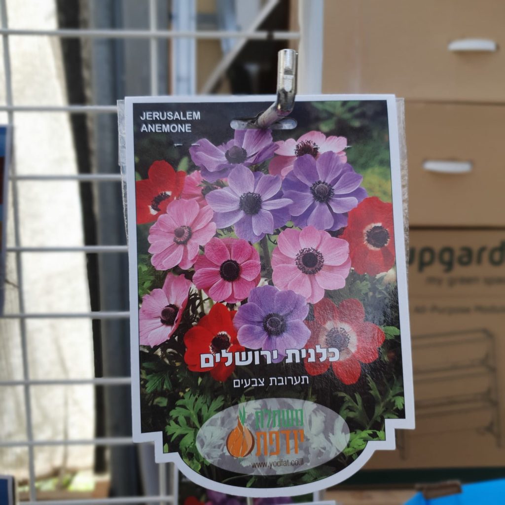 צמחי גינה ומרפסת, עונתי של חורף