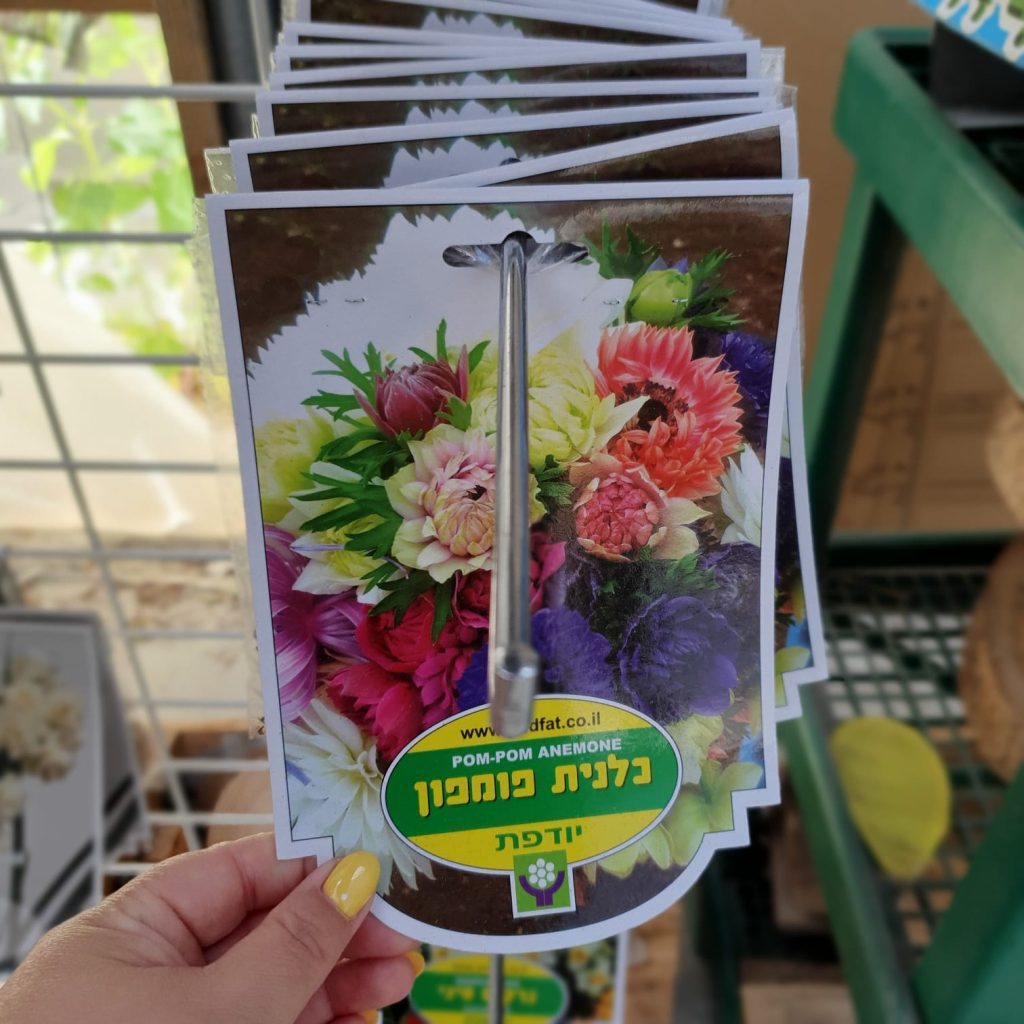 צמחי גינה ומרפסת, עונתי של חורף