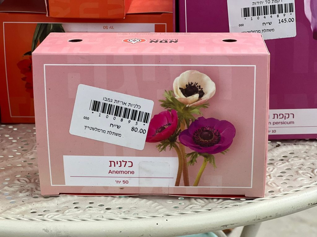 צמחי גינה ומרפסת