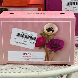 צמחי גינה ומרפסת