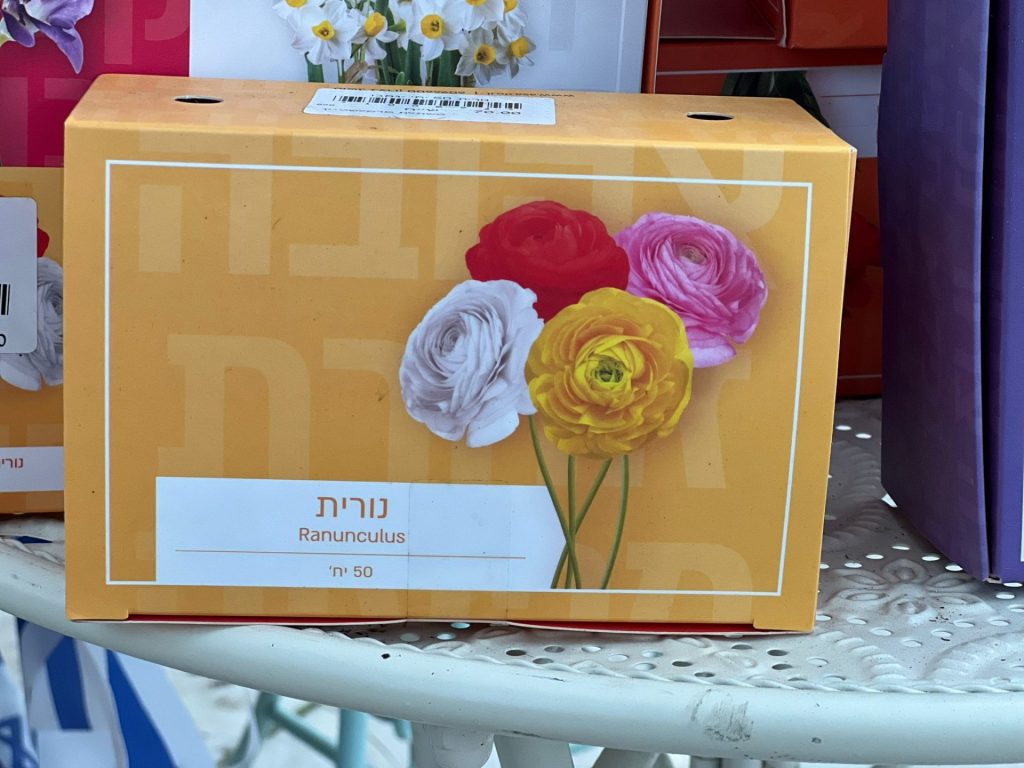 צמחי גינה ומרפסת, עונתי של חורף