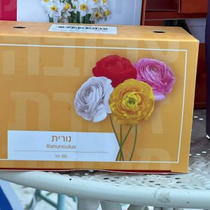 צמחי גינה ומרפסת, עונתי של חורף