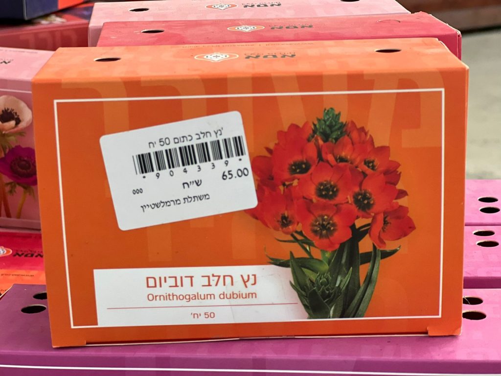 צמחי גינה ומרפסת, עונתי של חורף