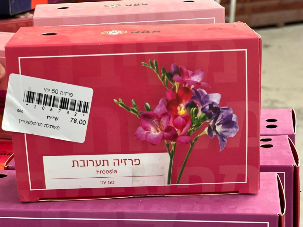 צמחי גינה ומרפסת, עונתי של חורף