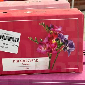צמחי גינה ומרפסת, עונתי של חורף