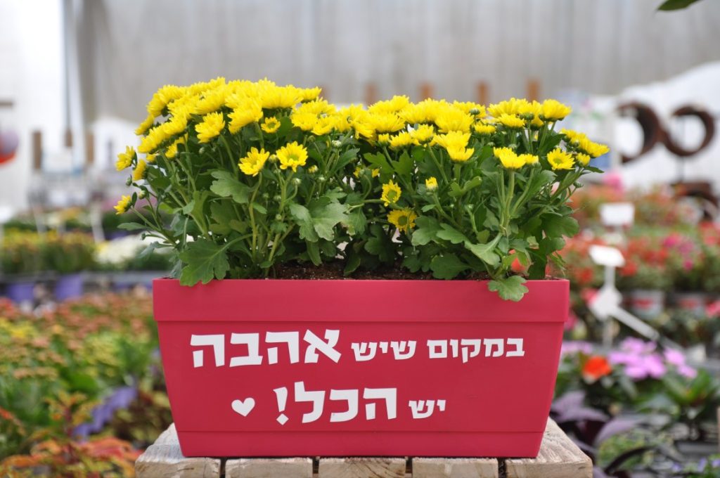 מתנה ארבל מתנה מרגשת עם הרבה אהבה