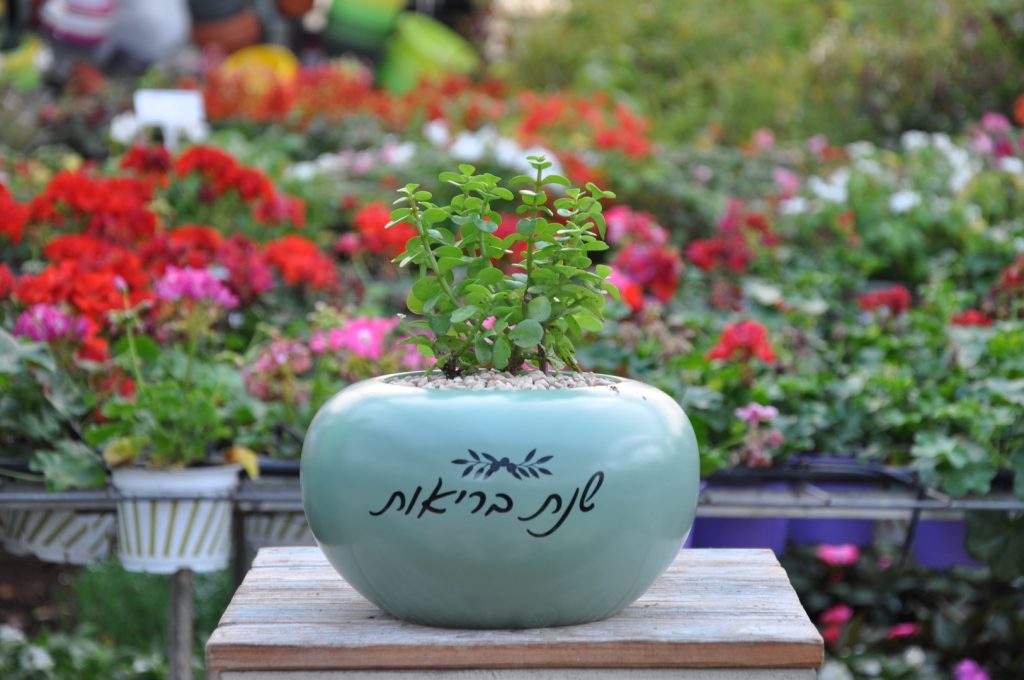 מתנה בריאות מתנה מקסימה ומרגשת