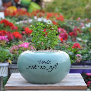 מתנה בריאות מתנה מקסימה ומרגשת