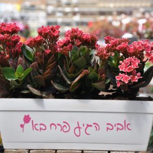 מתנה אביבית המתנה המושלמת והכי מקורית!
