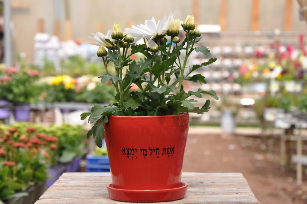 מתנה מימי מתנה יפייפיה שכל אחת תתרגש לקבל!