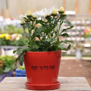 מתנה מימי מתנה יפייפיה שכל אחת תתרגש לקבל!