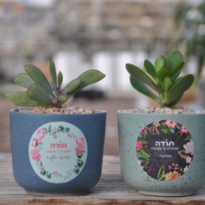 מתנה קורני מתנה קטנה ומדוייקת להוקרת תודה:)