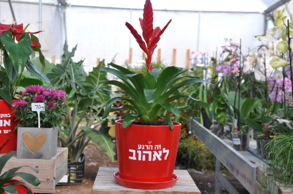 מתנה של אהבה! 
