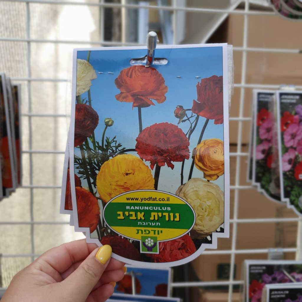 צמחי גינה ומרפסת, עונתי של חורף