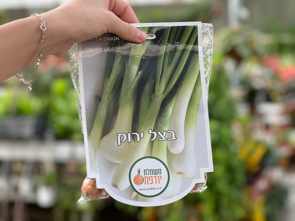צמחי גינה ומרפסת, עונתי של חורף, ירקות