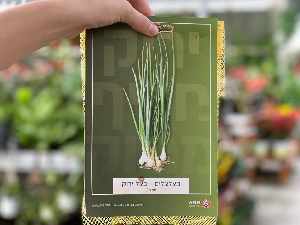 צמחי גינה ומרפסת, עונתי של חורף, ירקות
