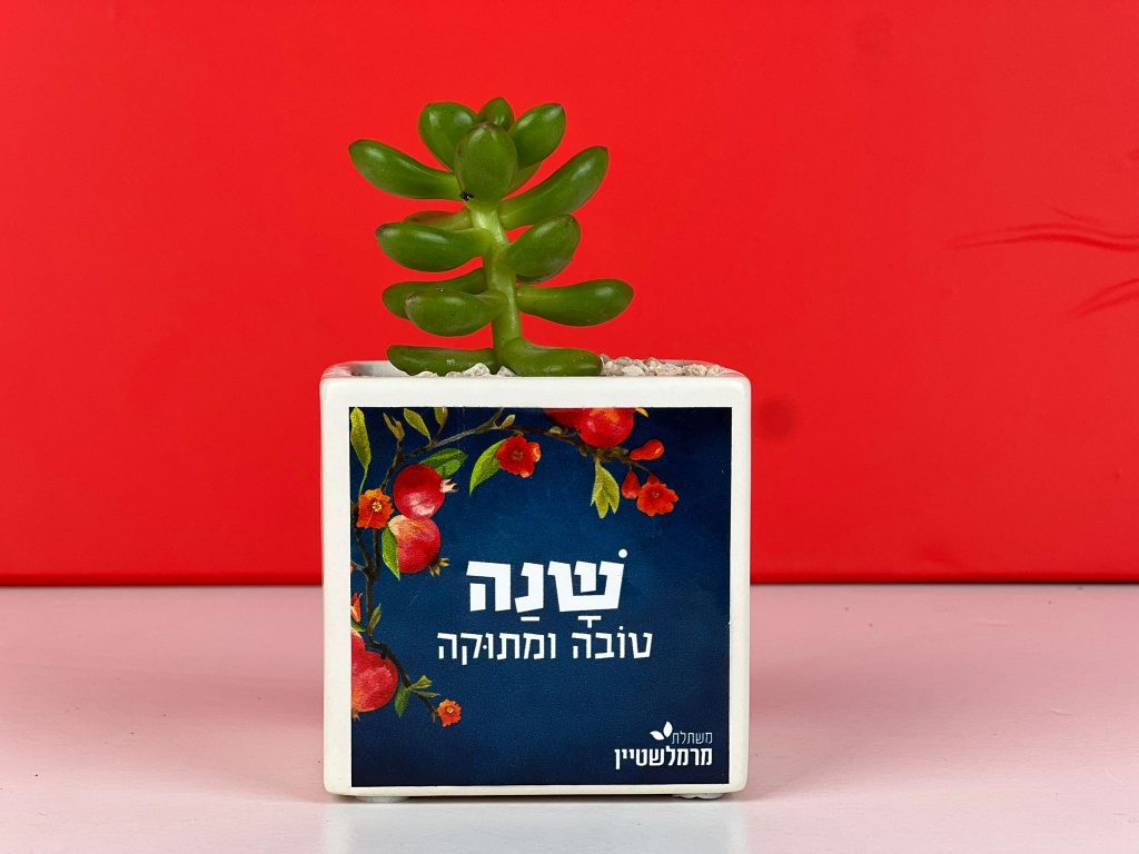 מתנה נונו מתנה קטנה עם משמעות גדולה- במיוחד לשנה החדשה!