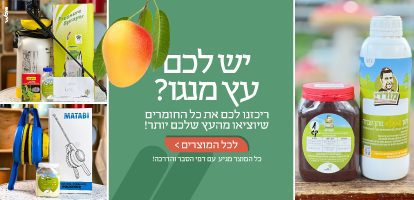 ציוד וחומרי דישון והדברה לעץ מנגו משתלת מרמלשטיין - מרססי מטאבי ודשן מורדי עם הדרכה
