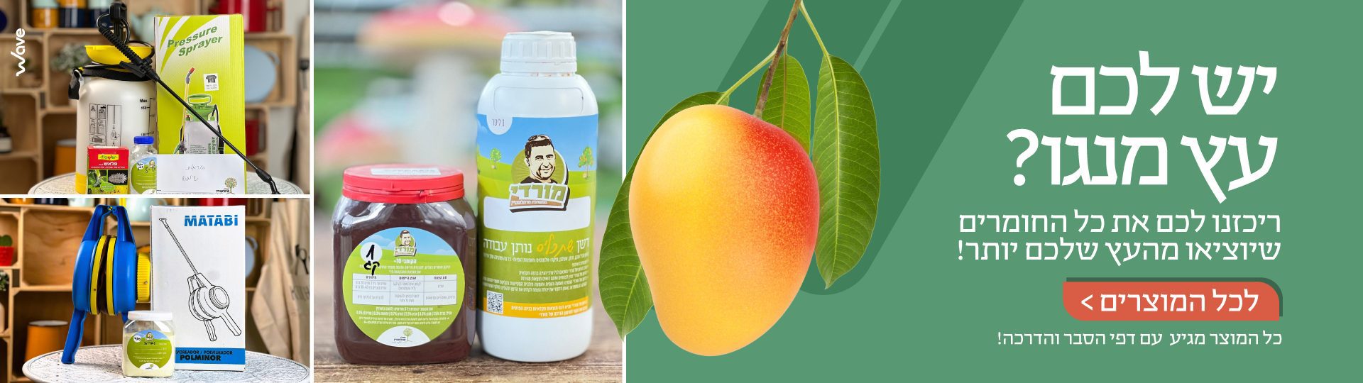 ציוד וחומרי דישון והדברה לעץ מנגו משתלת מרמלשטיין - מרססי מטאבי ודשן מורדי עם הדרכה