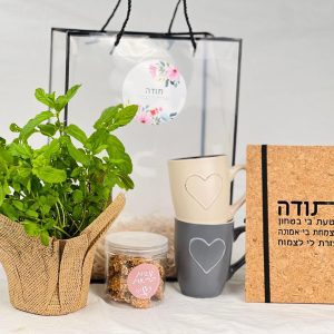 הודיה