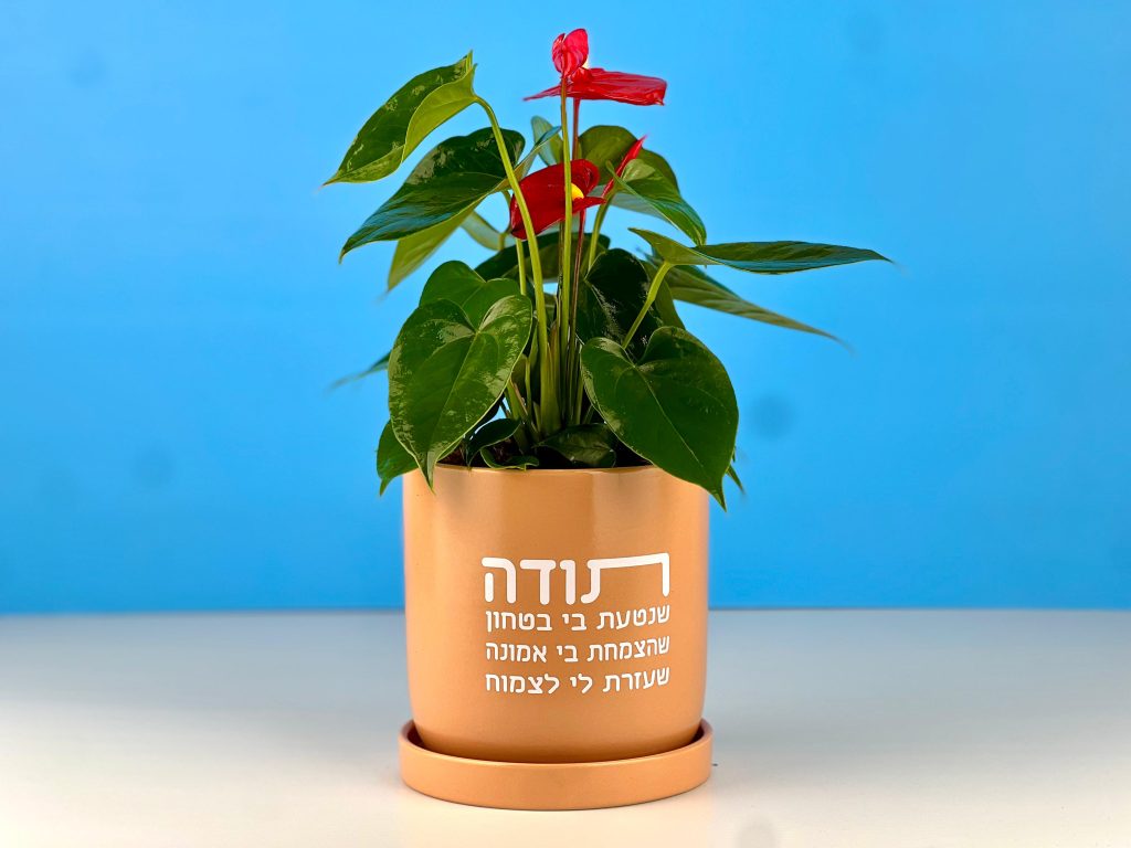 מתנה טנקס