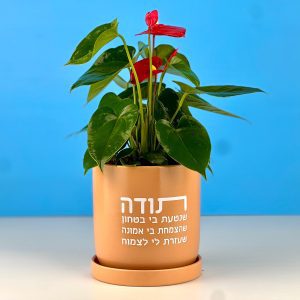 מתנה טנקס