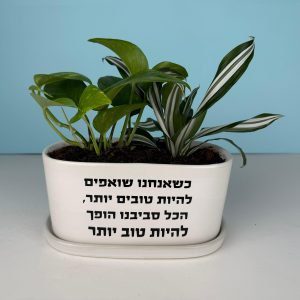 מתנה ירון
