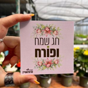 מיתוג ‘חג שמח ופורח’