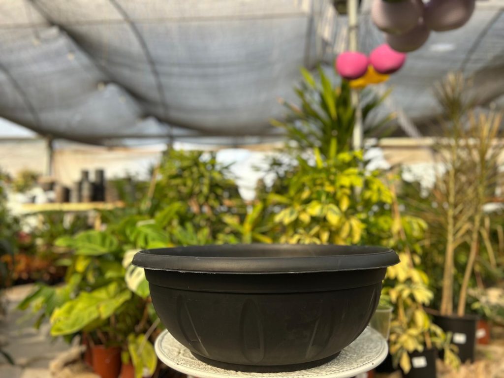 קערה 65 פלסטיק